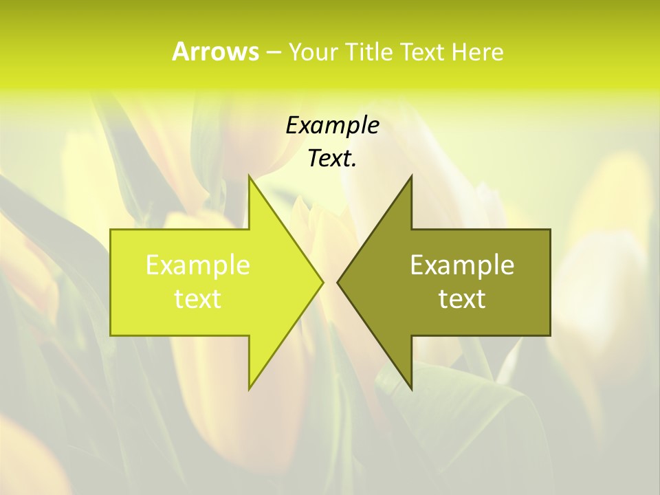 Nature Natural Bright PowerPoint Template