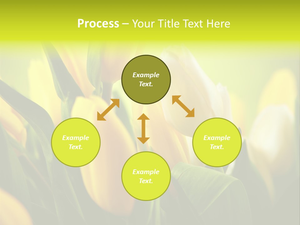 Nature Natural Bright PowerPoint Template