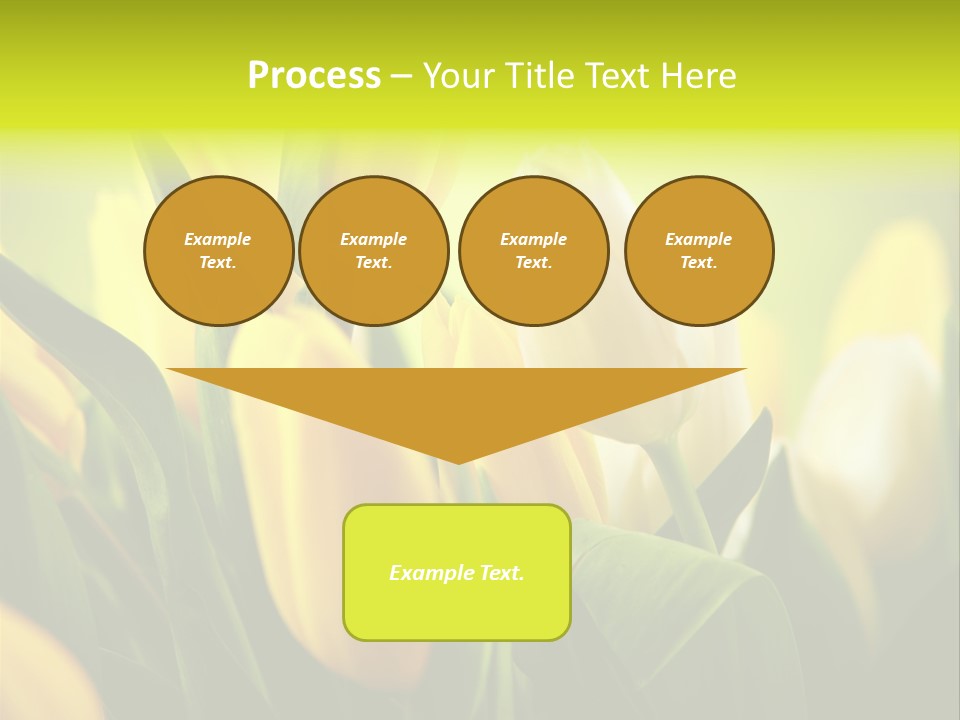 Nature Natural Bright PowerPoint Template
