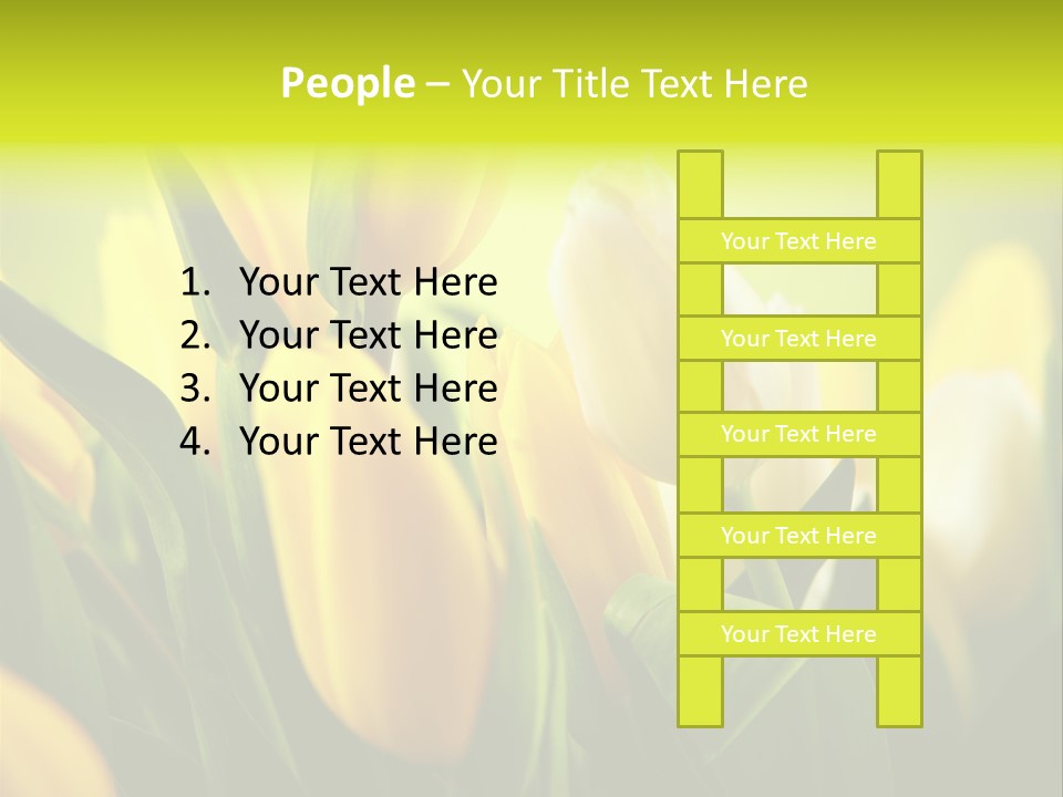 Nature Natural Bright PowerPoint Template