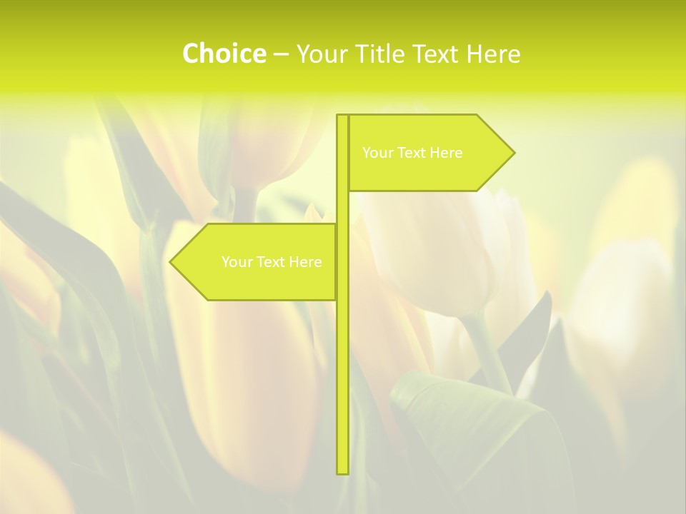 Nature Natural Bright PowerPoint Template