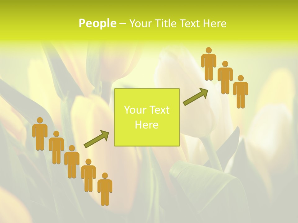 Nature Natural Bright PowerPoint Template