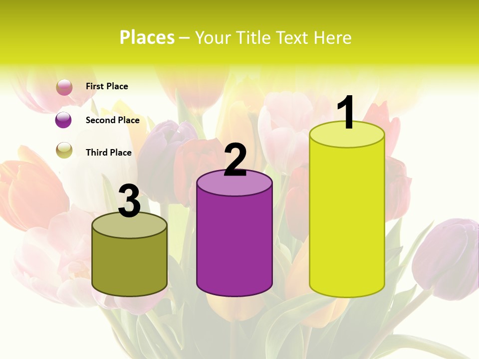 Tulip Typical Tulips PowerPoint Template