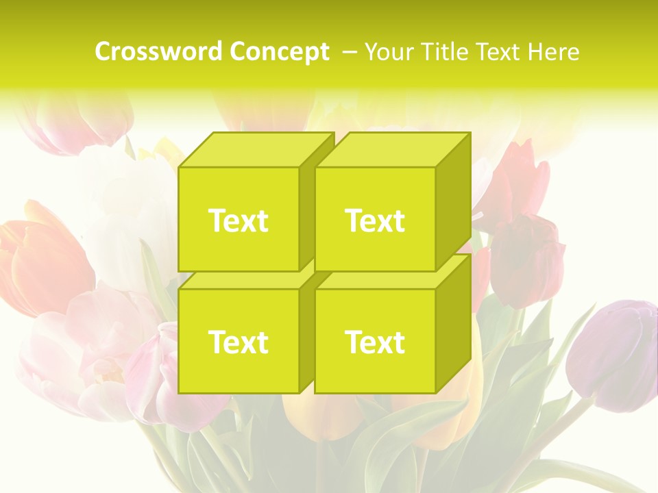 Tulip Typical Tulips PowerPoint Template