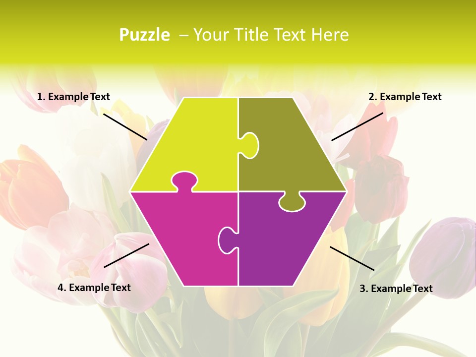 Tulip Typical Tulips PowerPoint Template