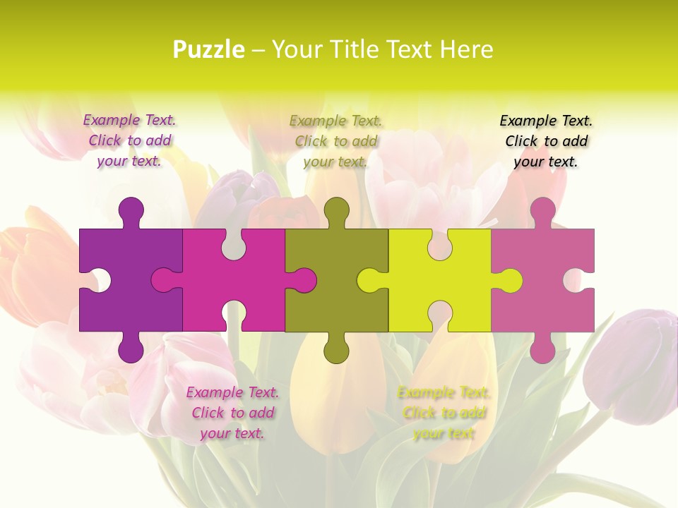 Tulip Typical Tulips PowerPoint Template