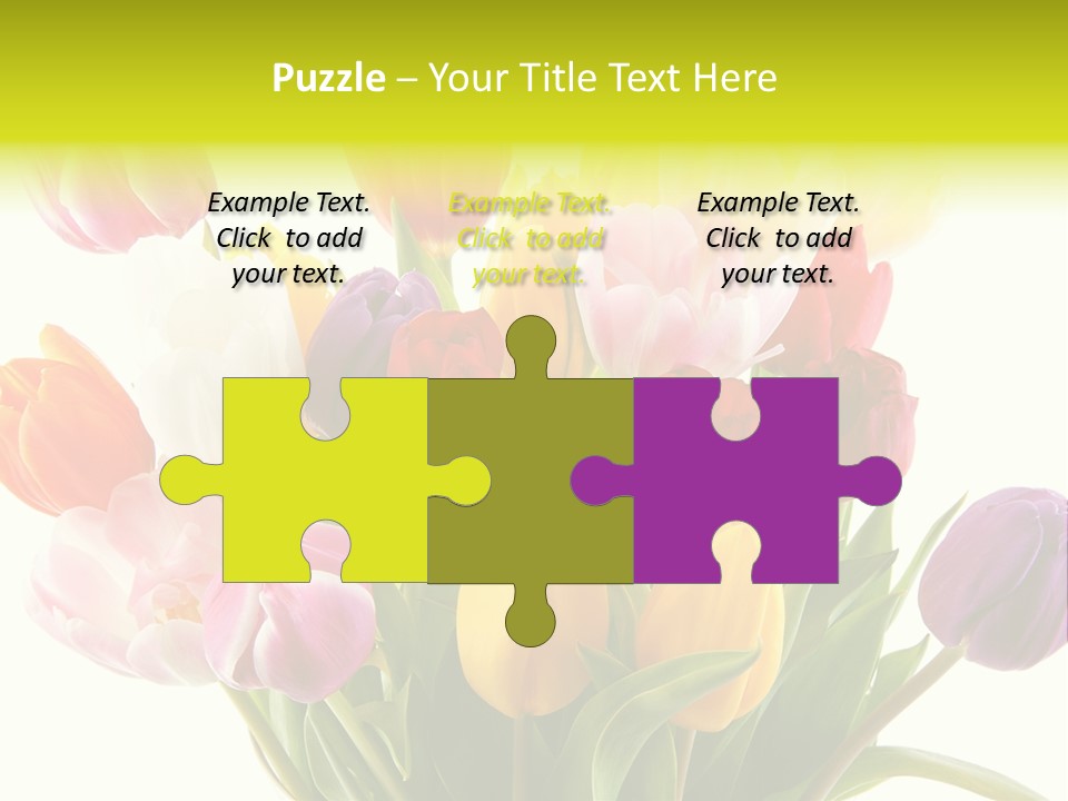 Tulip Typical Tulips PowerPoint Template