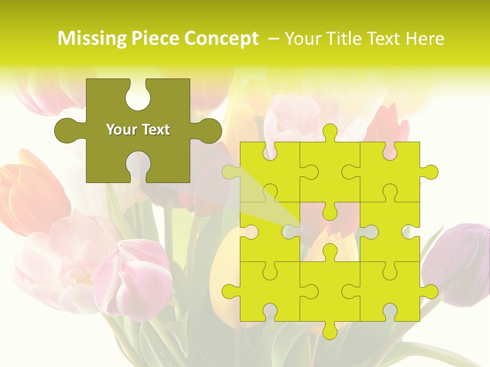 Tulip Typical Tulips PowerPoint Template