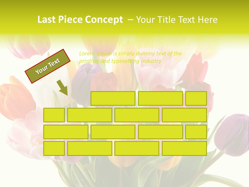 Tulip Typical Tulips PowerPoint Template