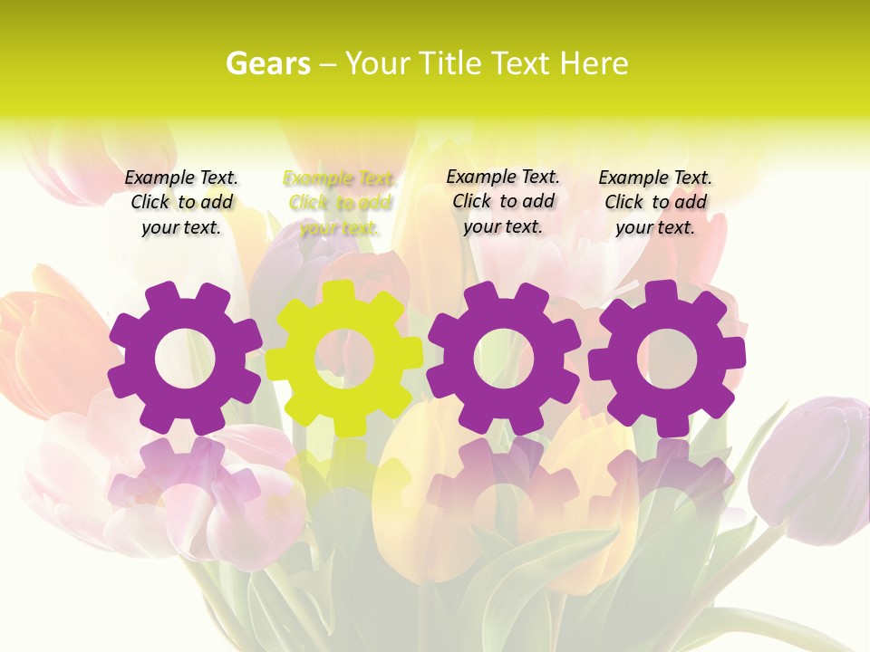 Tulip Typical Tulips PowerPoint Template