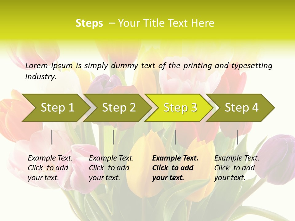 Tulip Typical Tulips PowerPoint Template
