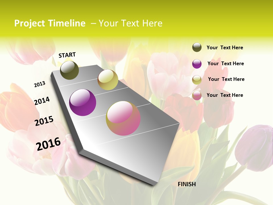 Tulip Typical Tulips PowerPoint Template