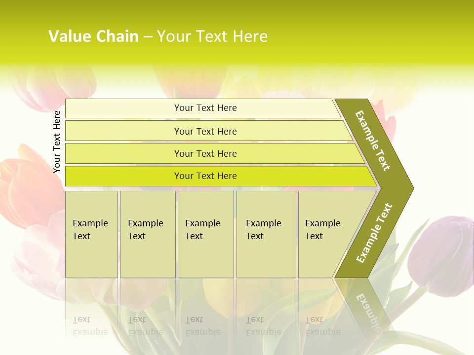 Tulip Typical Tulips PowerPoint Template