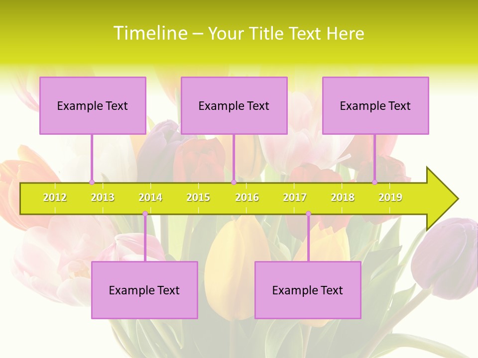Tulip Typical Tulips PowerPoint Template