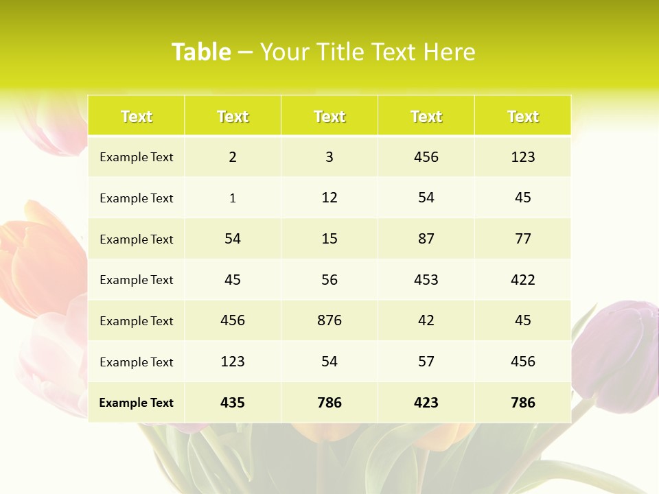 Tulip Typical Tulips PowerPoint Template