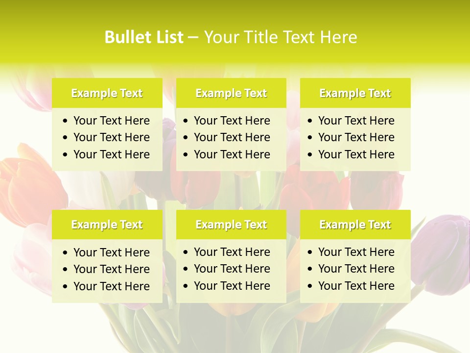 Tulip Typical Tulips PowerPoint Template