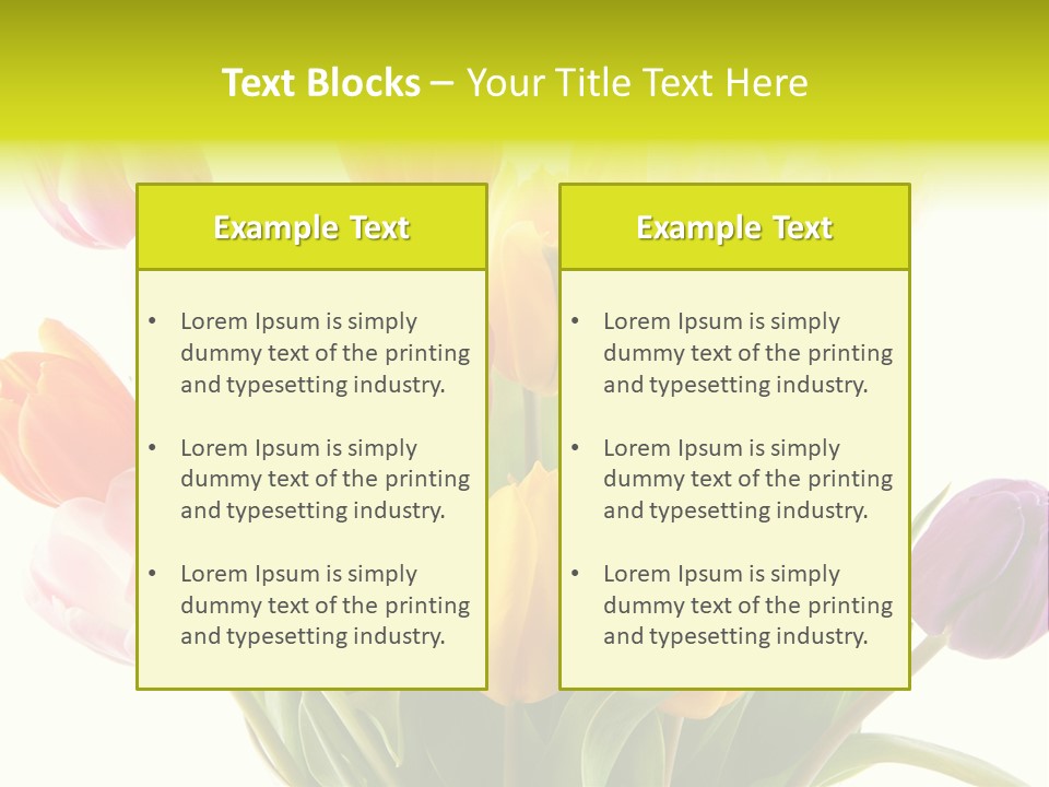 Tulip Typical Tulips PowerPoint Template