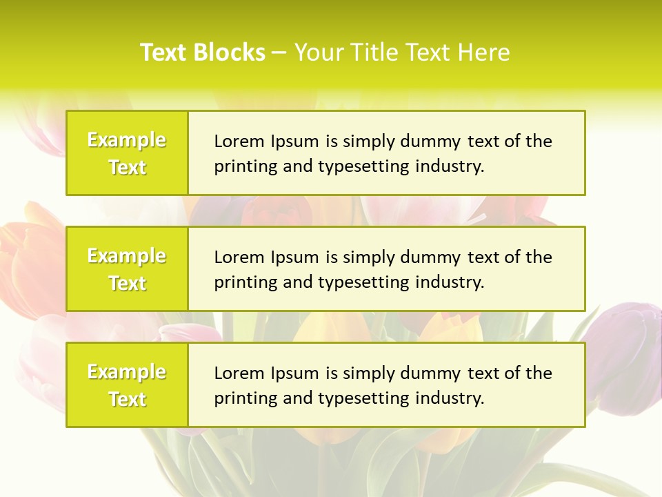 Tulip Typical Tulips PowerPoint Template