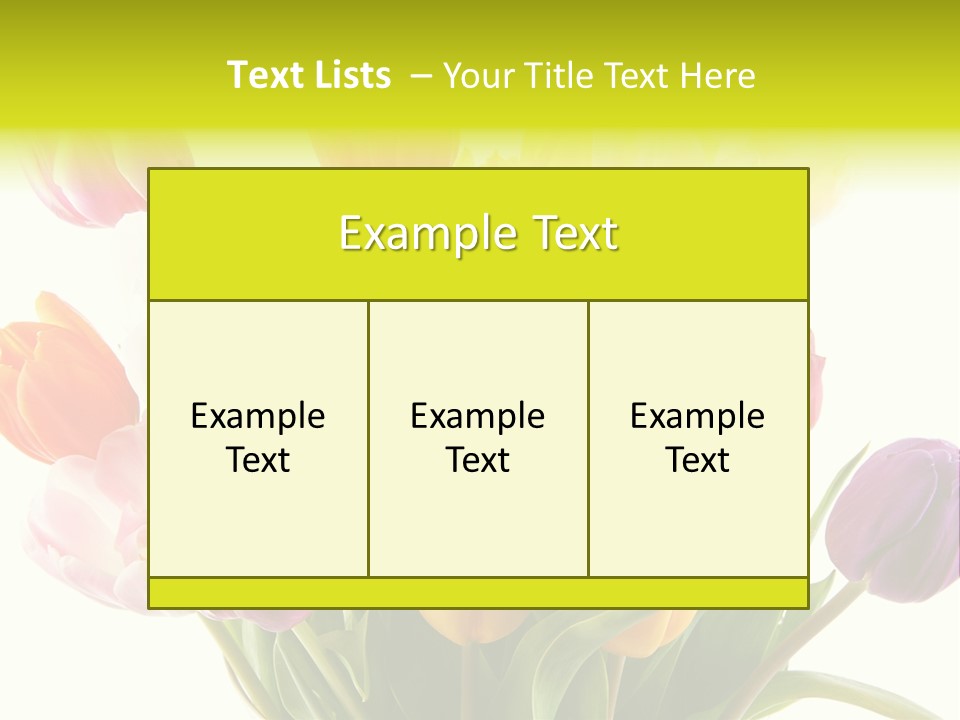 Tulip Typical Tulips PowerPoint Template