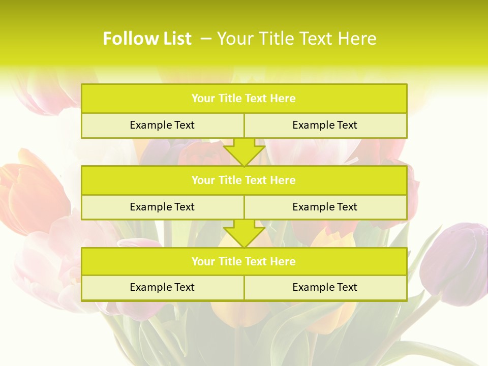 Tulip Typical Tulips PowerPoint Template