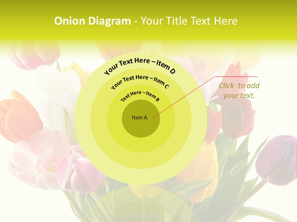 Tulip Typical Tulips PowerPoint Template