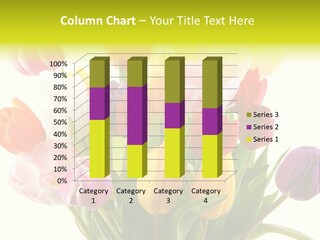 Tulip Typical Tulips PowerPoint Template