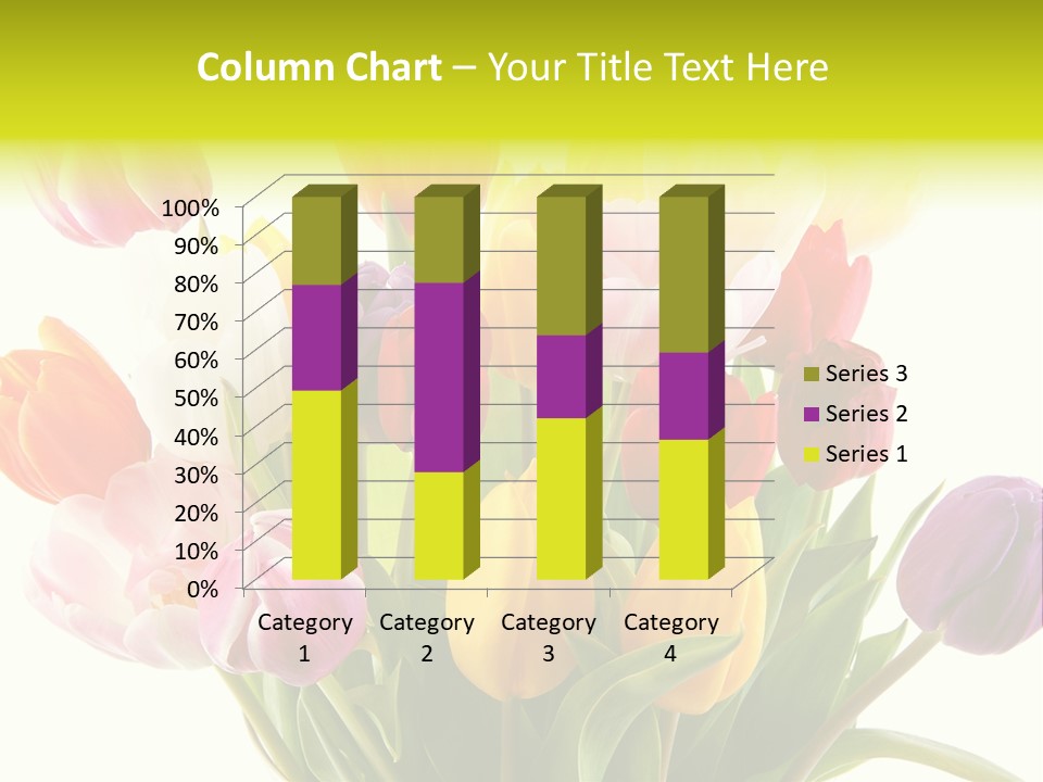 Tulip Typical Tulips PowerPoint Template