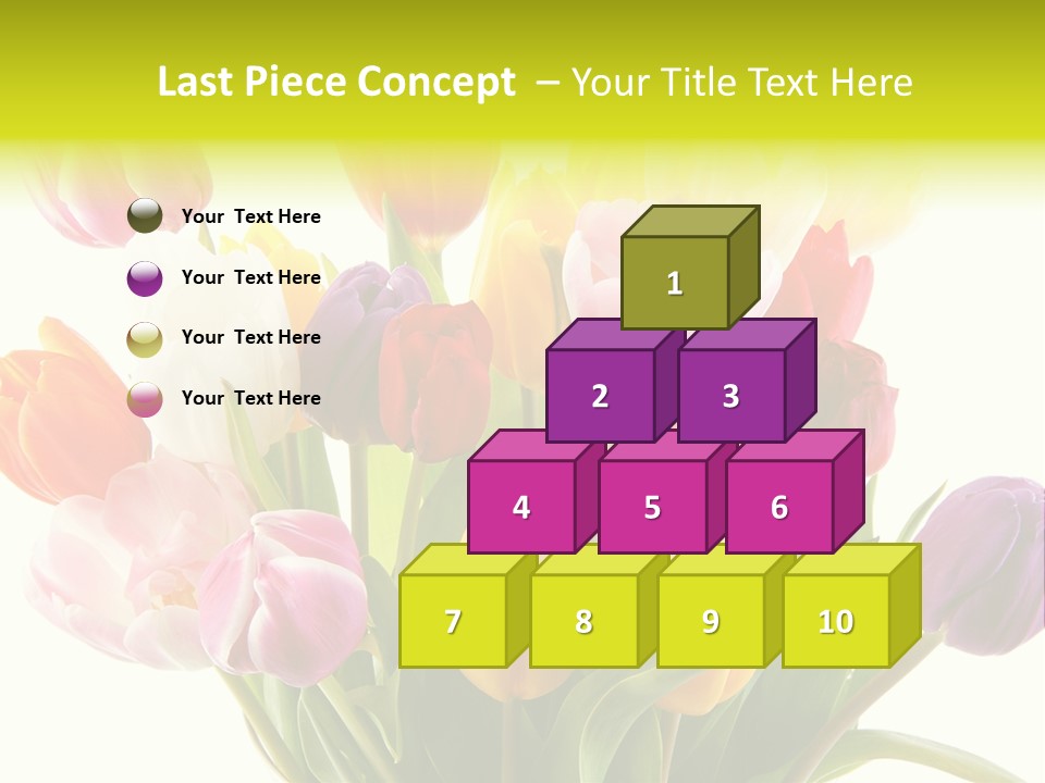 Tulip Typical Tulips PowerPoint Template