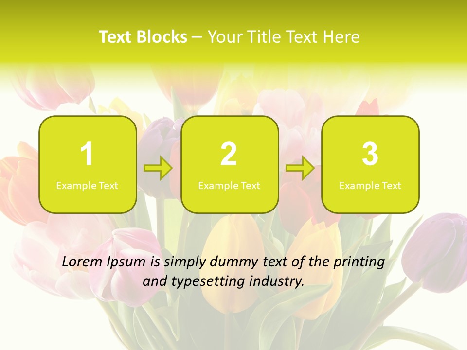 Tulip Typical Tulips PowerPoint Template
