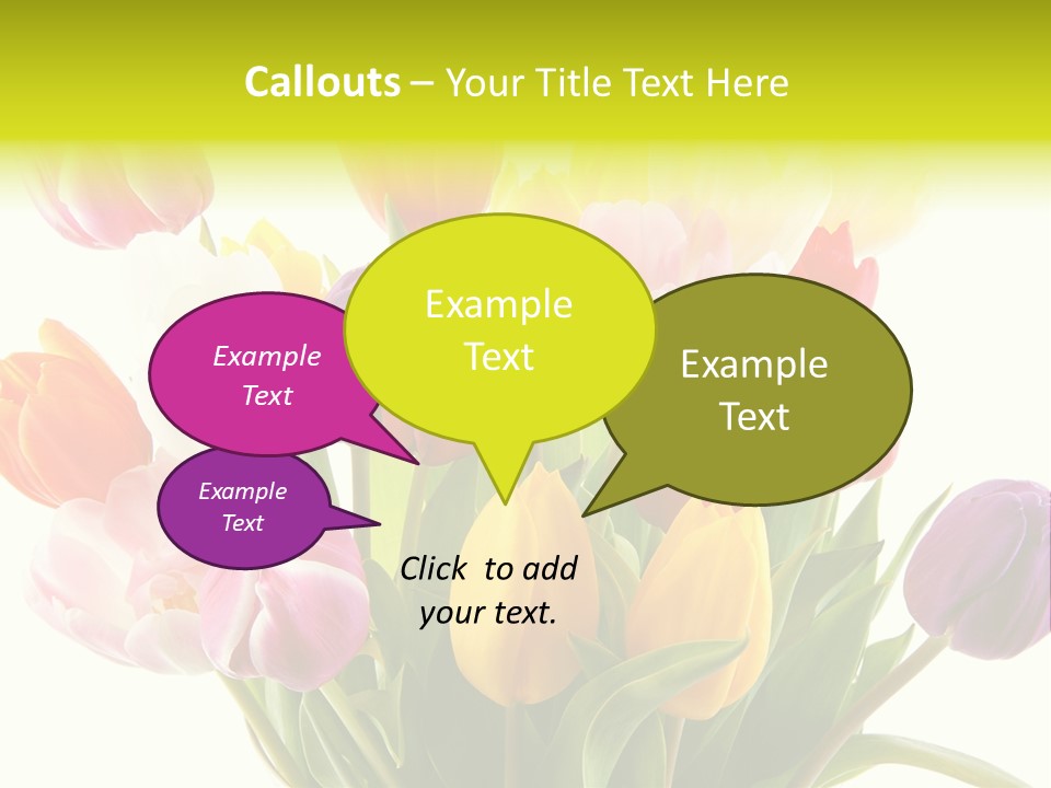 Tulip Typical Tulips PowerPoint Template