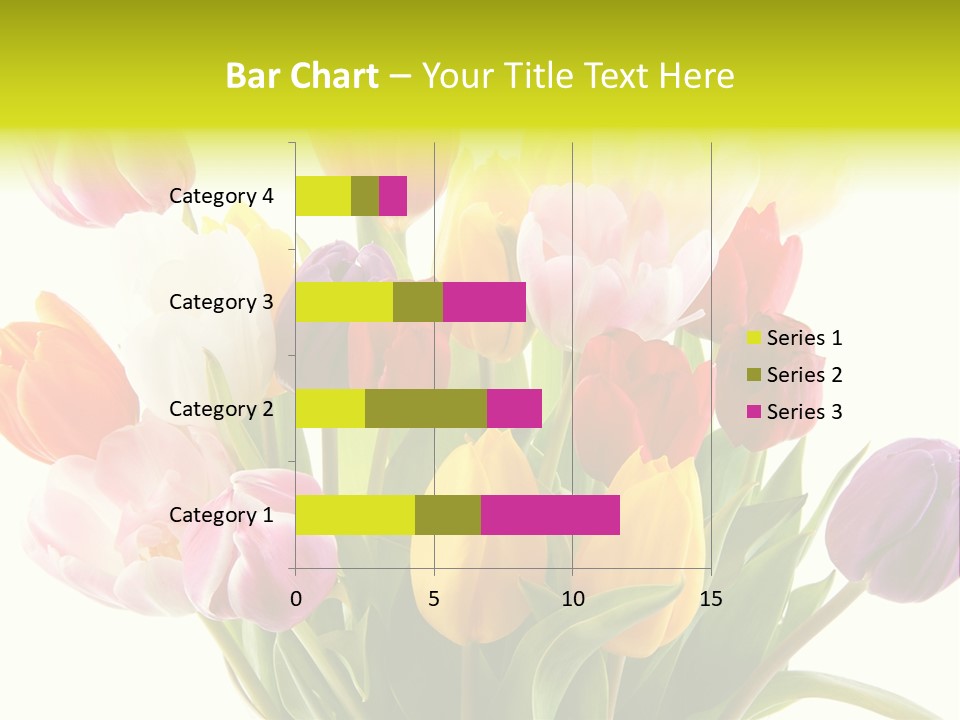 Tulip Typical Tulips PowerPoint Template