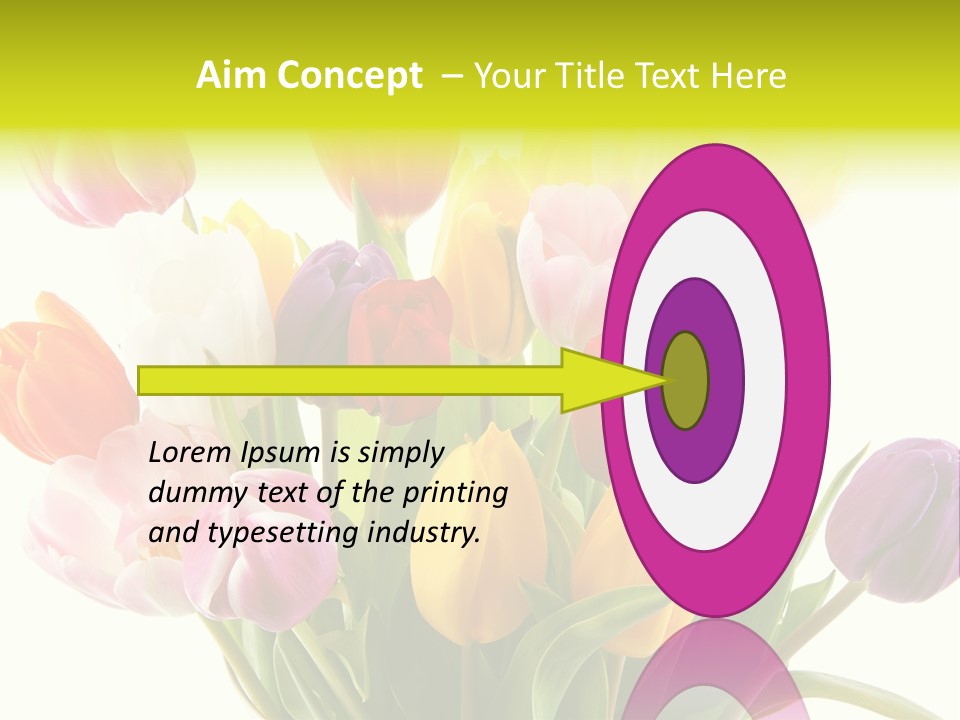 Tulip Typical Tulips PowerPoint Template