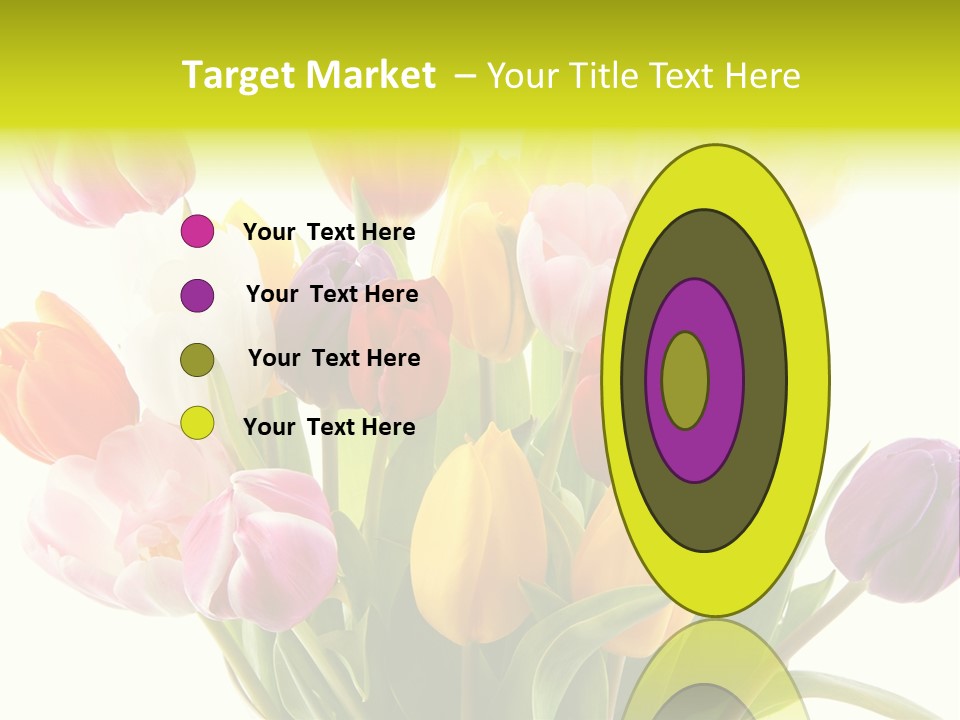 Tulip Typical Tulips PowerPoint Template