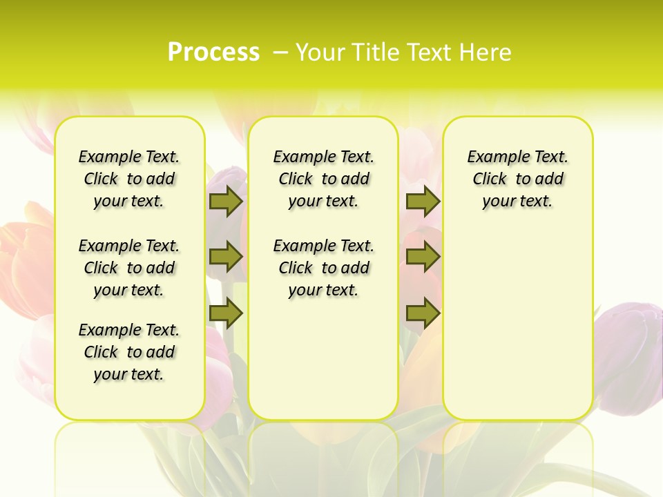 Tulip Typical Tulips PowerPoint Template