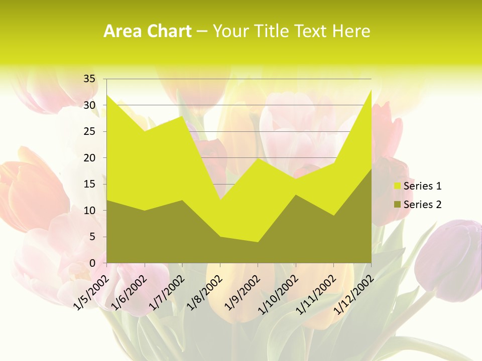 Tulip Typical Tulips PowerPoint Template