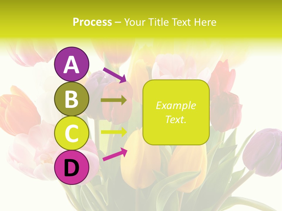 Tulip Typical Tulips PowerPoint Template