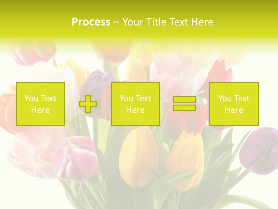 Tulip Typical Tulips PowerPoint Template