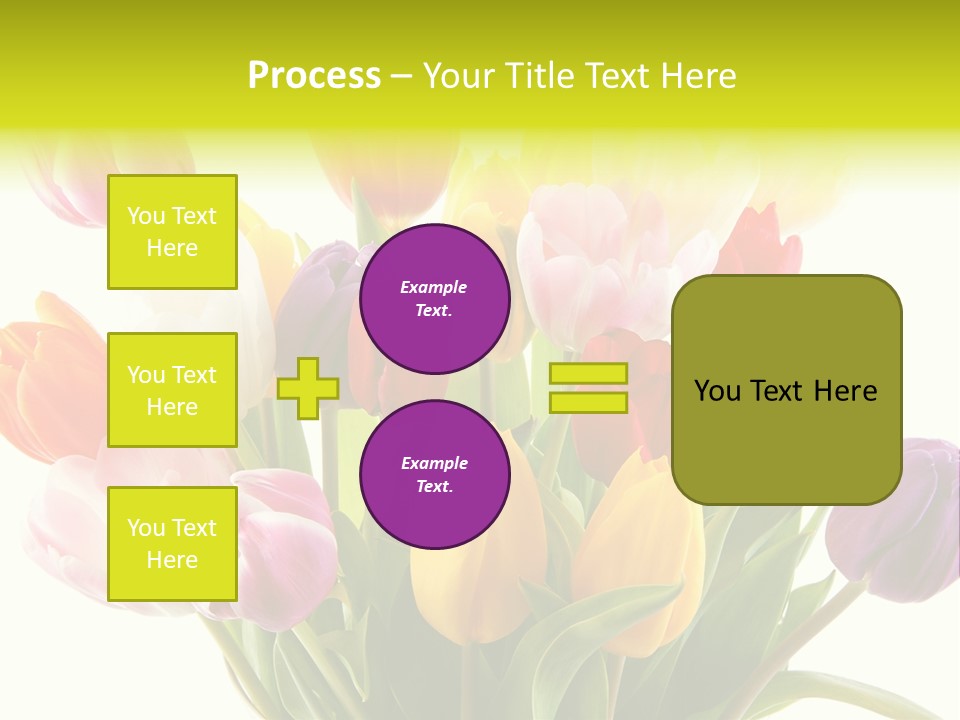Tulip Typical Tulips PowerPoint Template