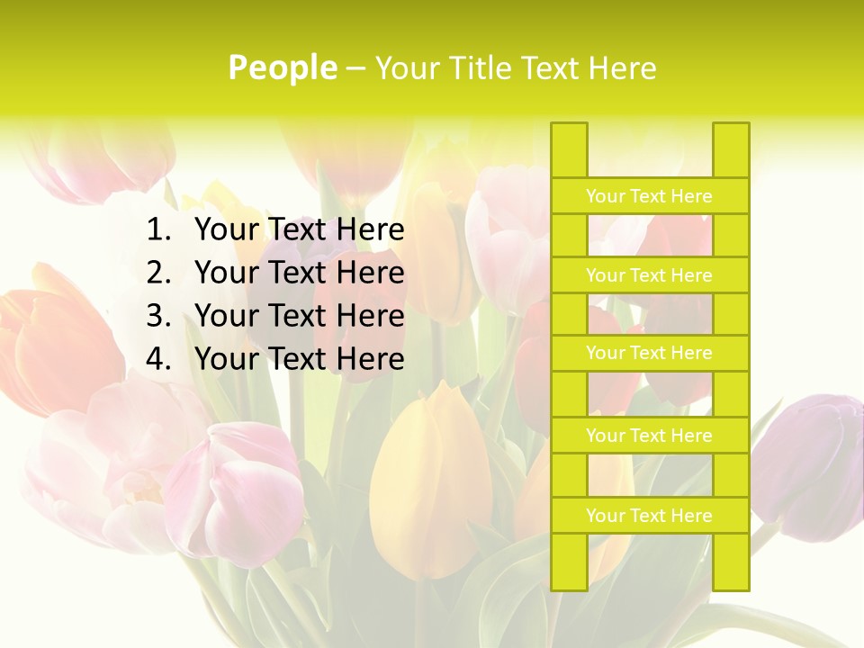 Tulip Typical Tulips PowerPoint Template