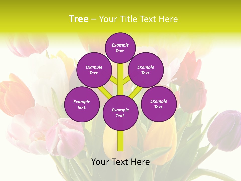 Tulip Typical Tulips PowerPoint Template