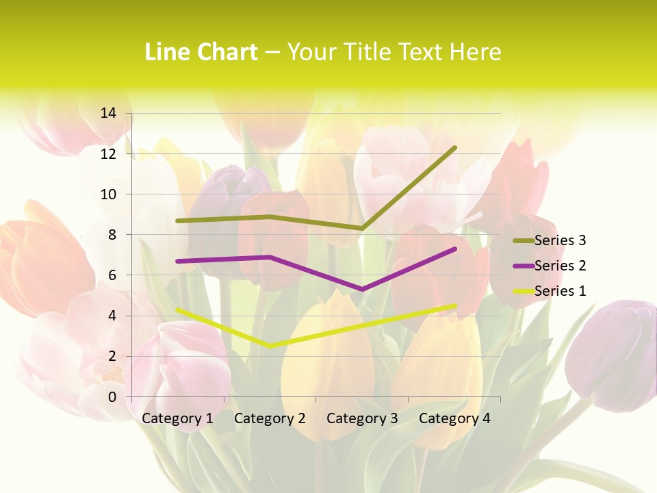 Tulip Typical Tulips PowerPoint Template