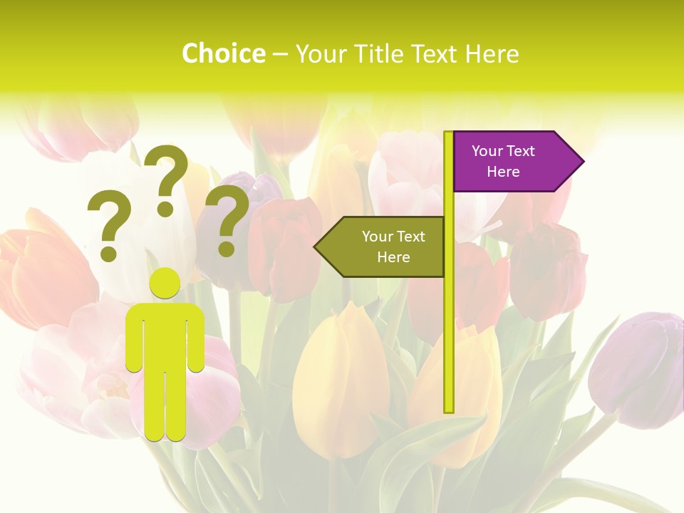 Tulip Typical Tulips PowerPoint Template