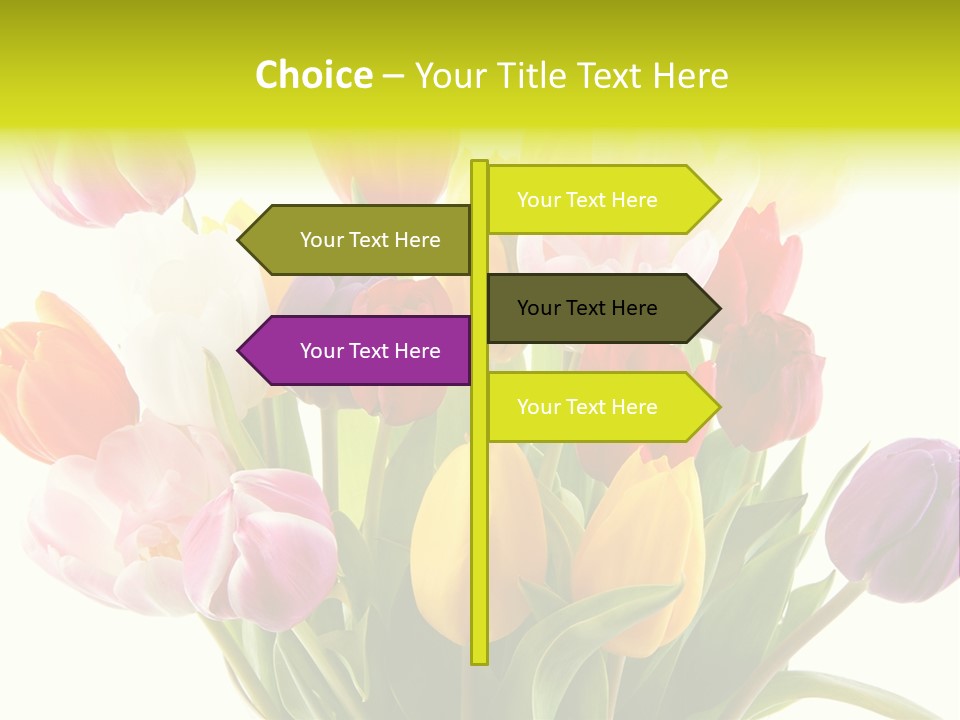 Tulip Typical Tulips PowerPoint Template