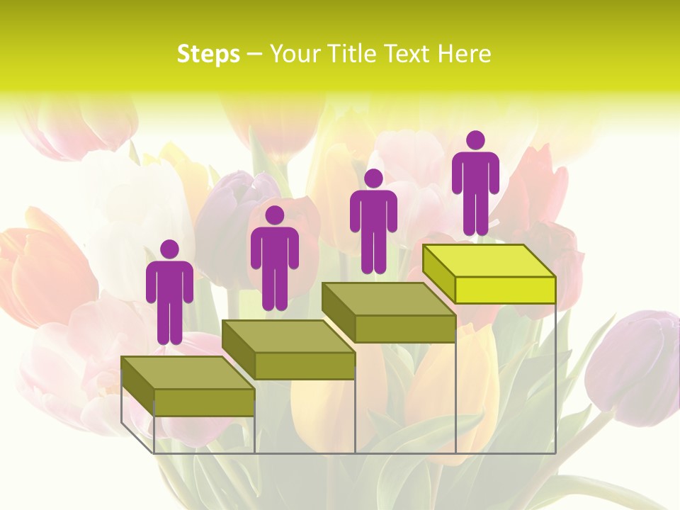 Tulip Typical Tulips PowerPoint Template