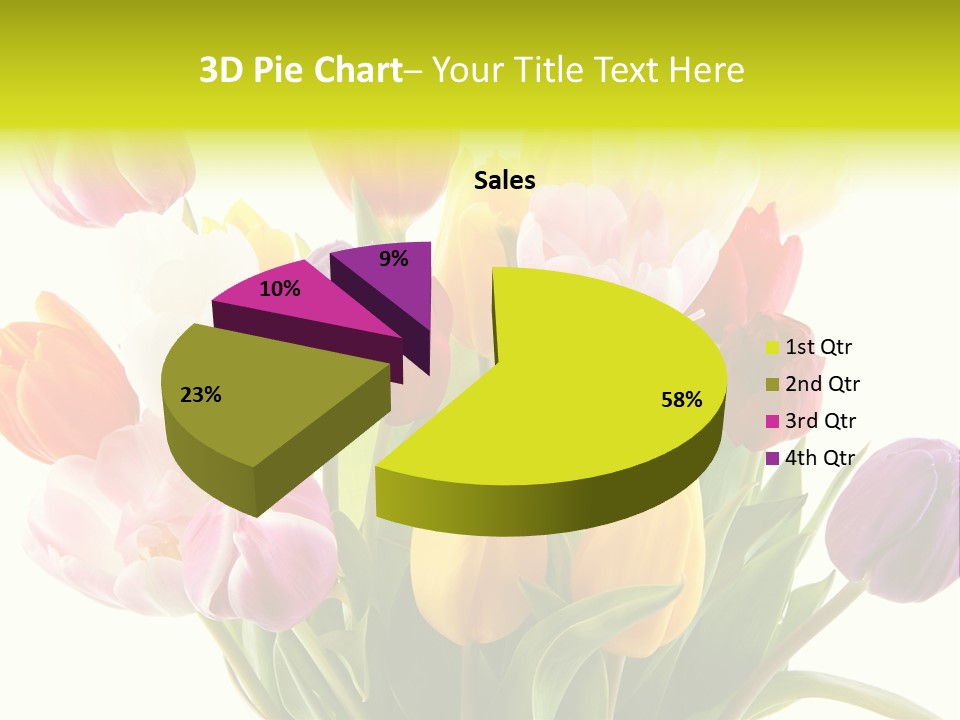 Tulip Typical Tulips PowerPoint Template