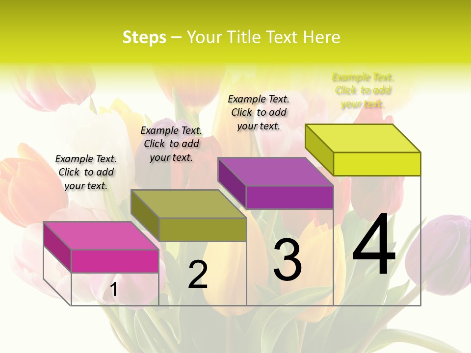 Tulip Typical Tulips PowerPoint Template