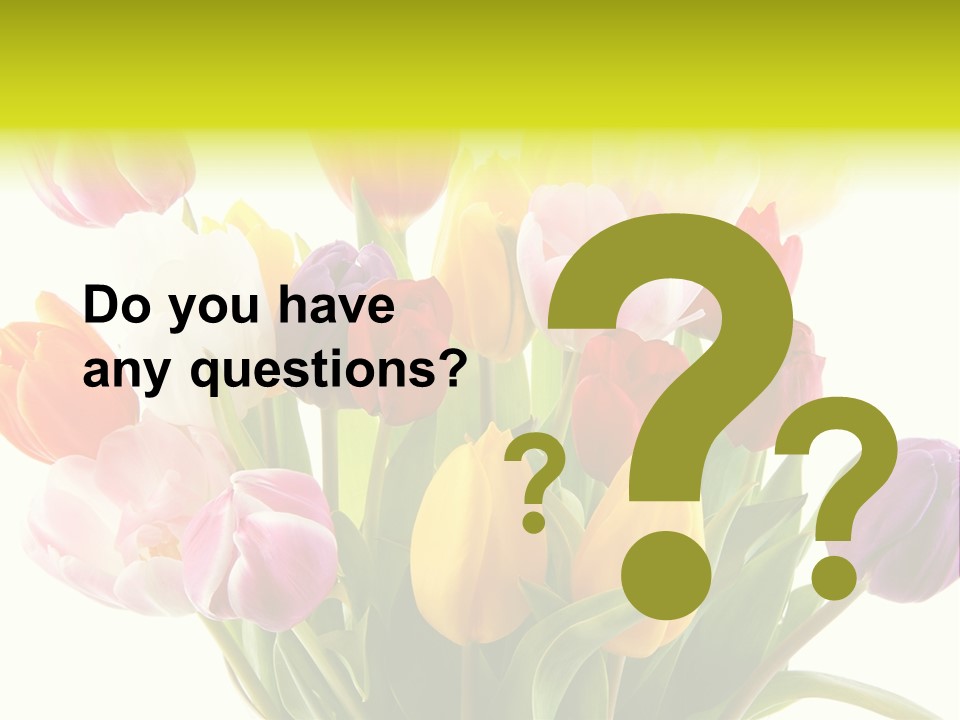 Tulip Typical Tulips PowerPoint Template