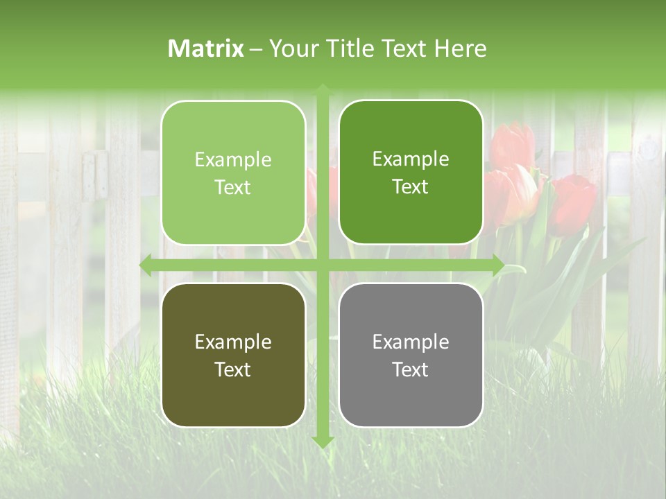 Harmonie Eingez Terasse PowerPoint Template