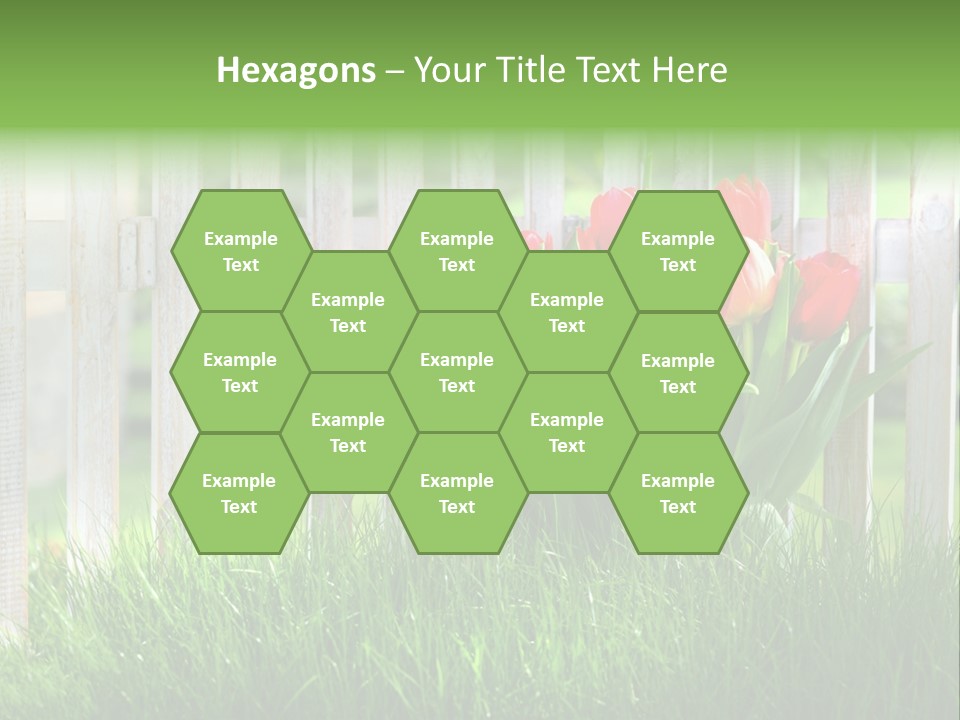 Harmonie Eingez Terasse PowerPoint Template