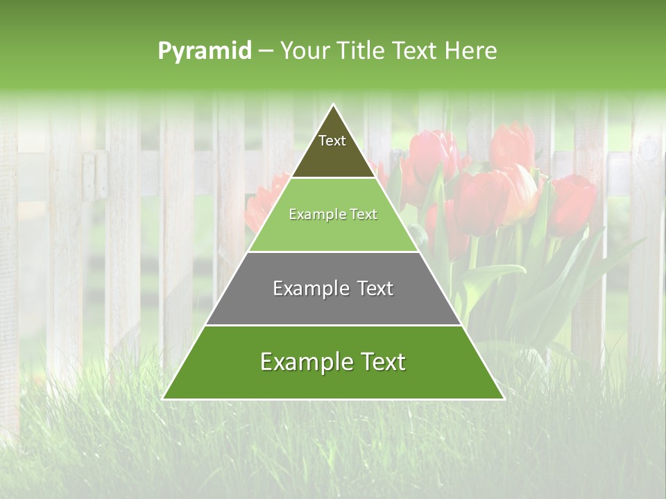 Harmonie Eingez Terasse PowerPoint Template